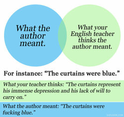 colour of the curtains.jpg