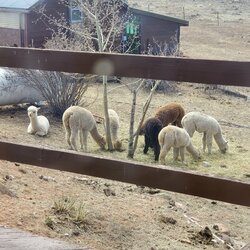 IMG_20200415_013627.jpg