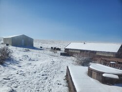 IMG_20200415_012855.jpg