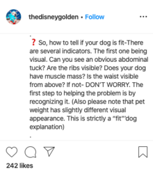 amber080.png