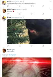 ktfhjgf.png