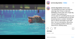 hailey048.png hailey048.png