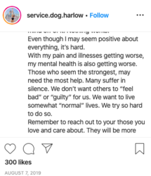 hailey049.png