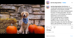 hailey051.png hailey051.png