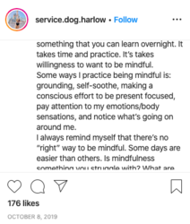 hailey052.png