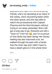 molly008.png