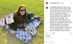 molly027.png molly027.png