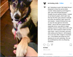 molly030.png molly030.png