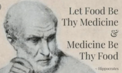 hippocrates.png