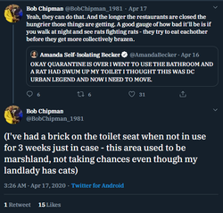 bob rat toilet.png