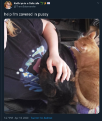 covered in pussy.png