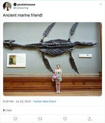 nina254.jpg