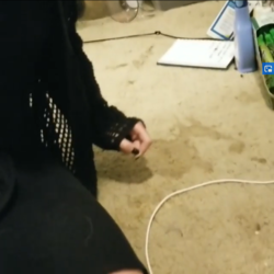 gross1.png