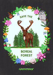 Boreal+Forest+Poster+WEB+72+for+MY+SITES.jpg