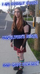 BewareOfHamilton'sNinja.jpg