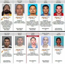 white criminals.jpg