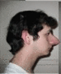 tenor (3).gif