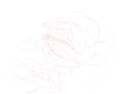 mariepronkWIP.png