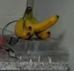 muff2.JPG