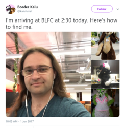 1588270204495.png