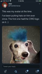 EW1NbbwXgAAay4z.jpg