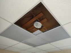 IMG_20200504_215509.jpg
