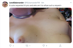 tit1.png