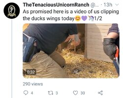 Screenshot_20200507-215302_Twitter.jpg