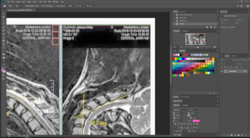 photoshop.png
