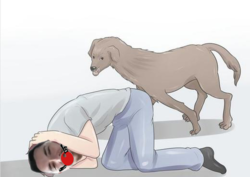 null and bry.png