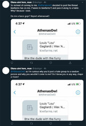 athenasowl.jpeg