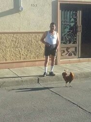 walking my chicken.jpg
