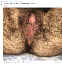 Vile.png