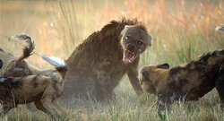 C15C5120-6696-4F98-BAD7-64DE5989AB09.jpeg