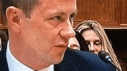 deepstate_democrat_traitor_strzok,_fbi_fag.gif