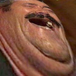 laugh.jpg