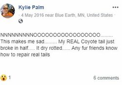 kylie13.JPG
