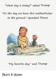 what-day-is-today-asked-trump-its-the-day-we-30458862.png