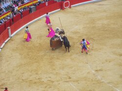 100_0644.JPG