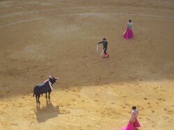 100_0621.JPG