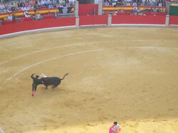 100_0620.JPG