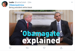 obamagate.png