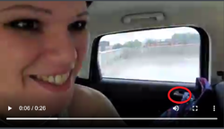 carinterior.PNG