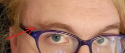 eyebrow 2.jpg