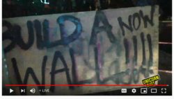 lol.PNG