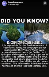 nut-Jenna-Snow-26.jpg