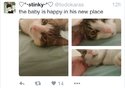 image.jpeg