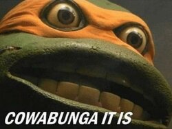 cowabung.jpg