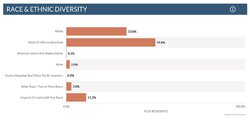 cleveland ohio demograph.jpg