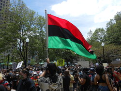 DSCN0511.JPG